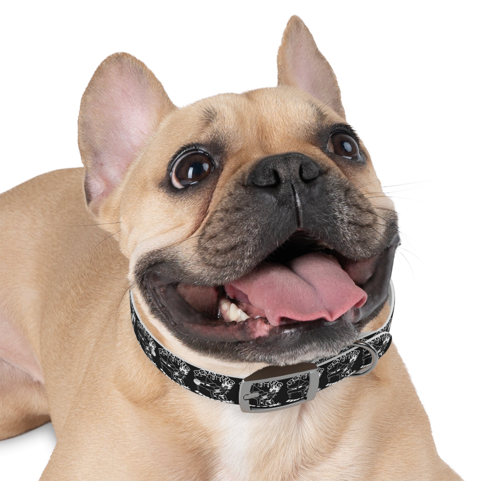 Dog Collar