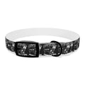 Dog Collar